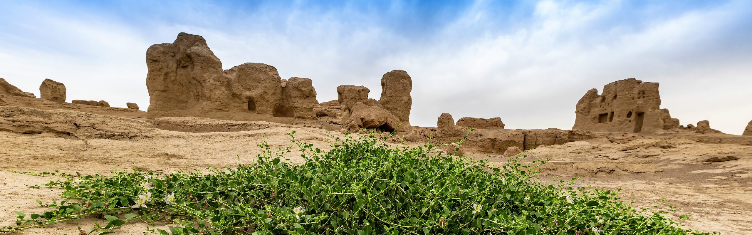 12-Day China Silk Road Tour from Xi'an to Kashgar